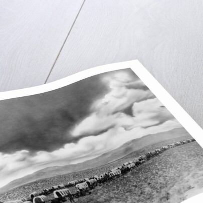 1860s 1870s line of covered wagons crossing American plains by Anonymous