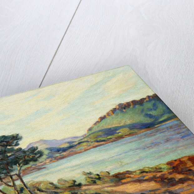 La Baie d'Agay by Armand Guillaumin