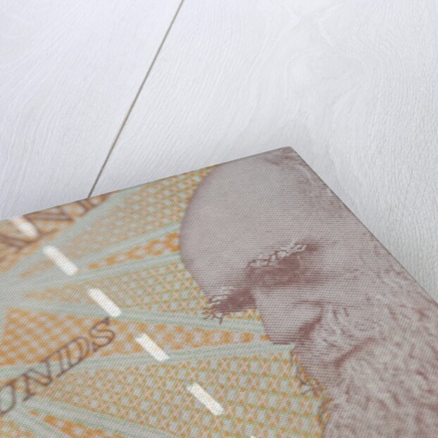A close up of Charles Darwin on the back of a ten pound note by Anonymous