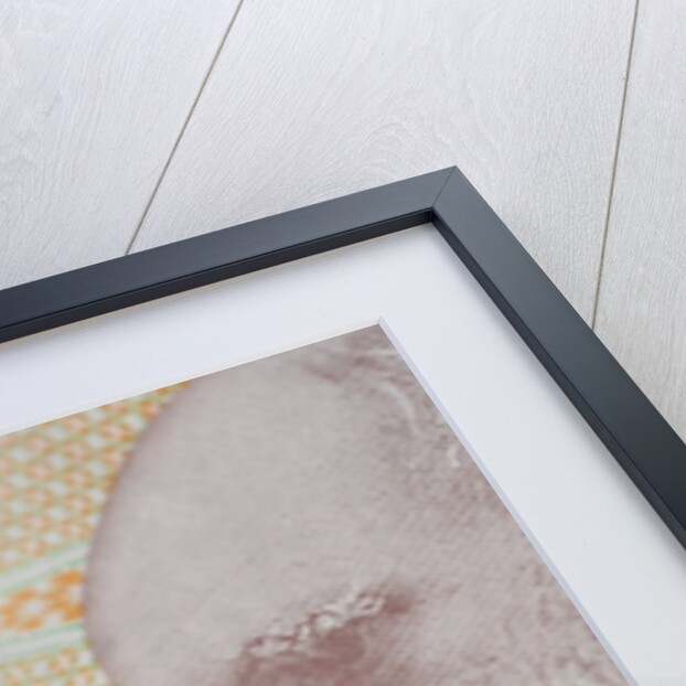 A close up of Charles Darwin on the back of a ten pound note by Anonymous