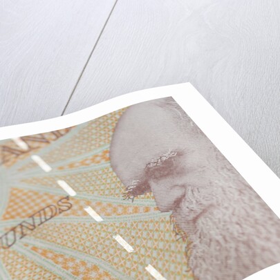 A close up of Charles Darwin on the back of a ten pound note by Anonymous