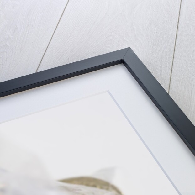 Looking down into an open money bag of pound coins by Anonymous