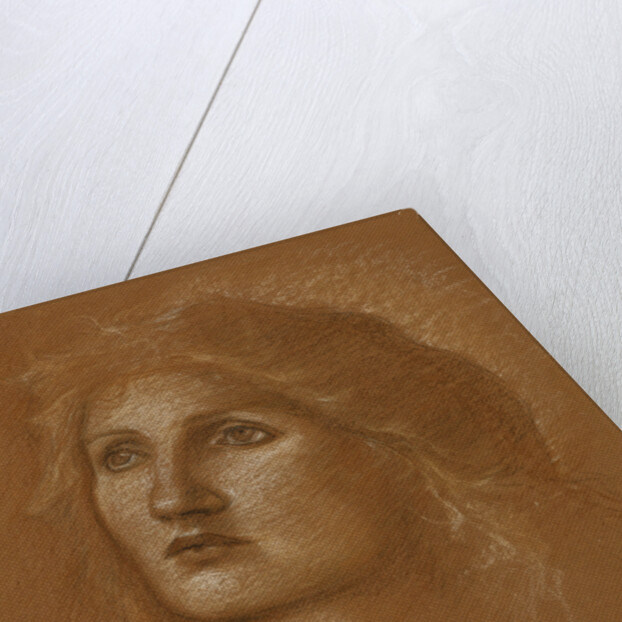 Head of a Woman by Edward Burne-Jones