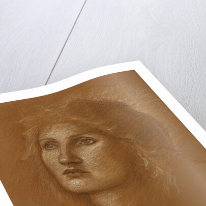 Head of a Woman by Edward Burne-Jones