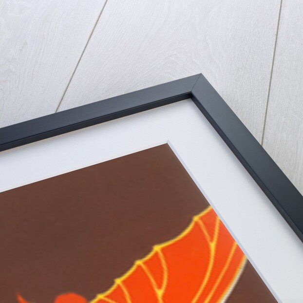 Poster for Field Museum with Children on Giant Koi by Anonymous