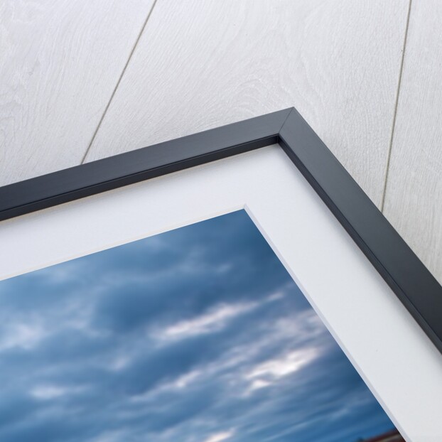 Sunrise over tulip field, Wooden Shoe Tulip Farm, Woodburn, Oregon by Anonymous