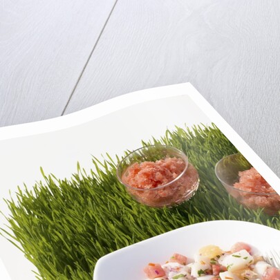 Watermelon and scallop ceviche by Anonymous