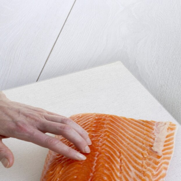 Salmon fillet by Anonymous