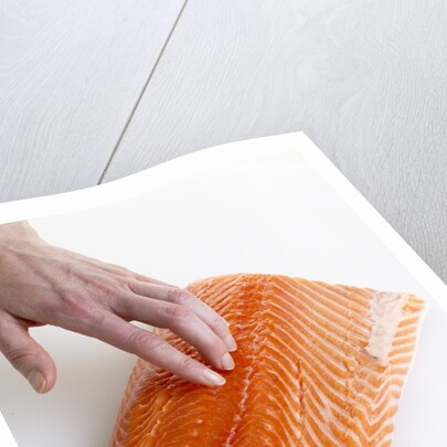 Salmon fillet by Anonymous