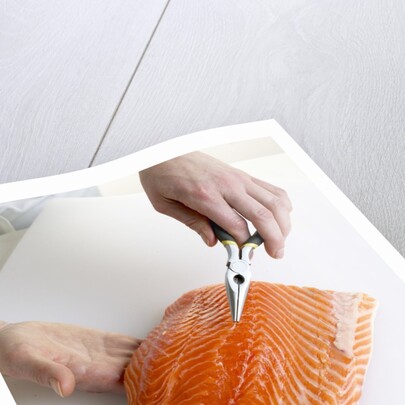 Deboning a salmon fillet by Anonymous