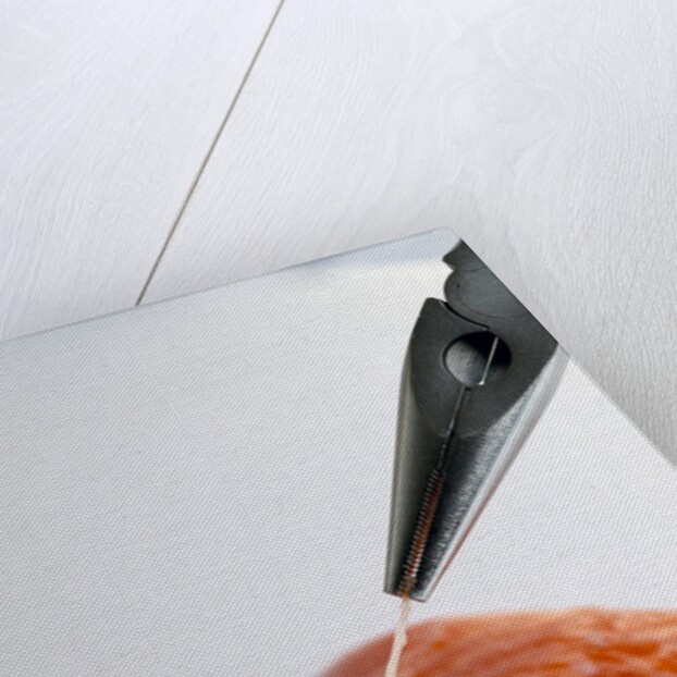Deboning a salmon fillet by Anonymous