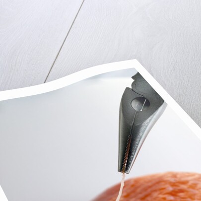 Deboning a salmon fillet by Anonymous