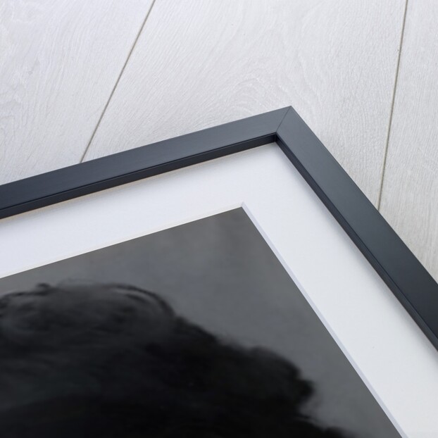 Irma Brunner by Ã‰douard Manet by Anonymous