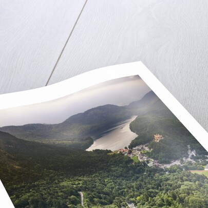 Aerial view of the great castle Neuschwanstein by Anonymous