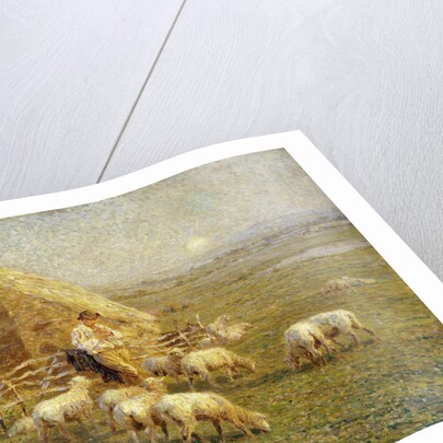 A Shepherd and his Sheep in a Meadow by Tom Griffiths