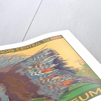 Poster for Field Museum with Porcupine by Anonymous