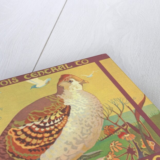 Poster for Field Museum with Quail by Anonymous