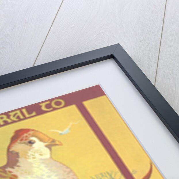 Poster for Field Museum with Quail by Anonymous