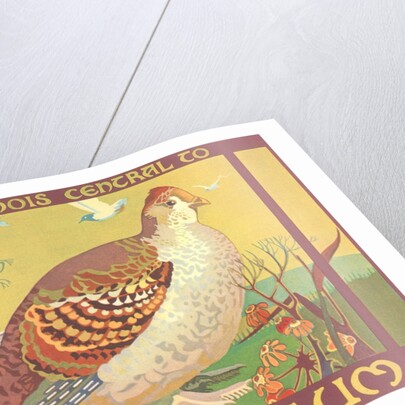 Poster for Field Museum with Quail by Anonymous