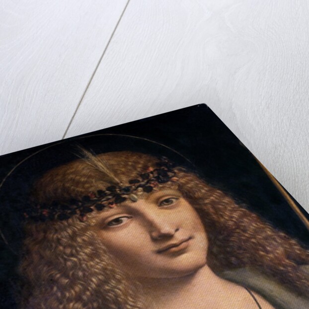 Portrait of a Boy as Saint Sebastian by Giovanni Antonio Boltraffio