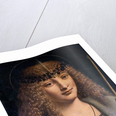 Portrait of a Boy as Saint Sebastian by Giovanni Antonio Boltraffio