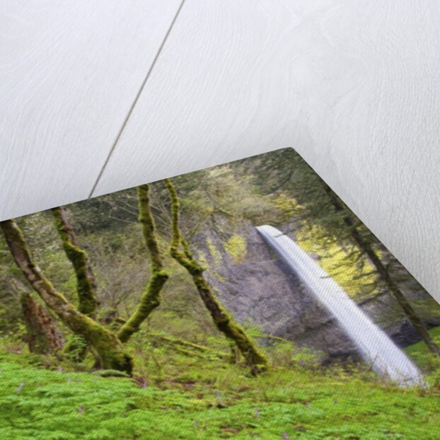 Spring Latourell Falls, Columbia River Gorge National Scenic Area, Oregon by Anonymous