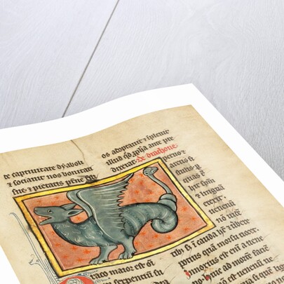 A Winged Dragon by Anonymous