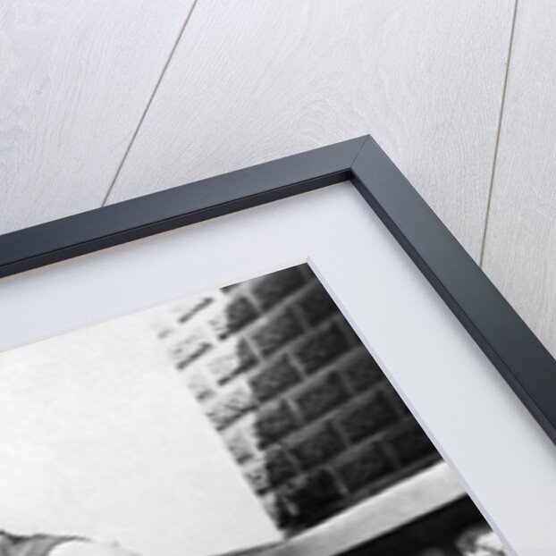 Young woman with goofy glasses, ca. 1912. by Anonymous