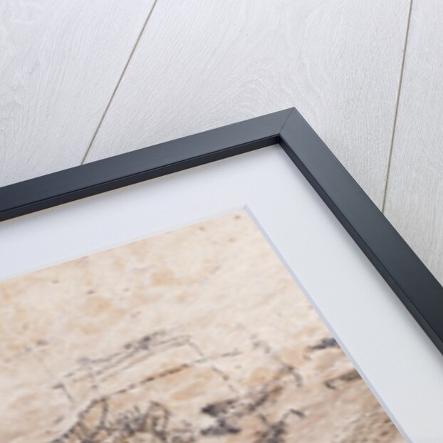 Pre-Columbian Rock paintings inside La Linea Limestone Cave, Dominican Republic by Anonymous