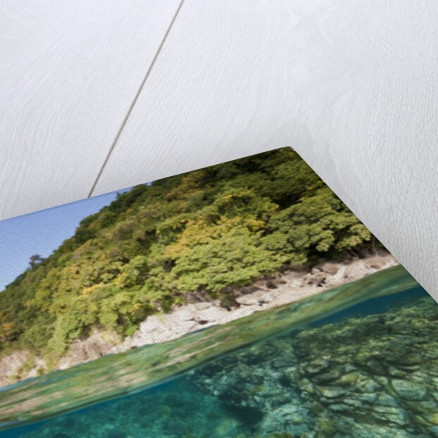 Coast of Dominica above and below water by Anonymous
