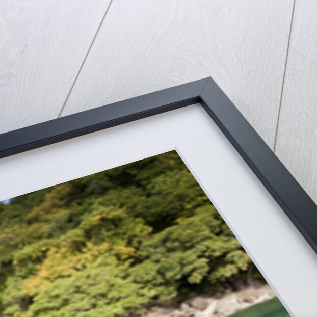 Coast of Dominica above and below water by Anonymous