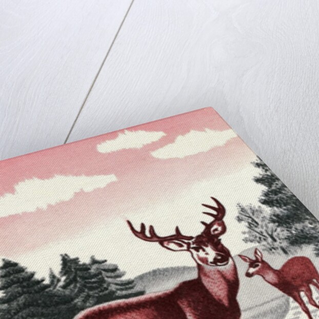 Deer in Stream by Anonymous
