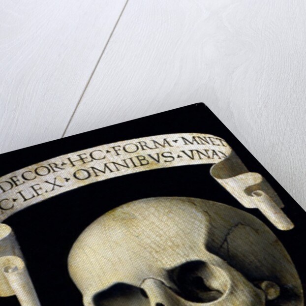 Skull of a Man - Memento Mori by Andrea Previtali