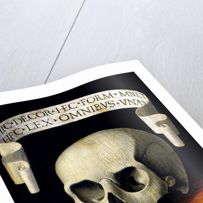 Skull of a Man - Memento Mori by Andrea Previtali