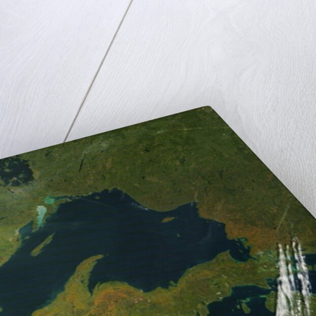 Satellite view of Lake Superior with fall colors by Anonymous