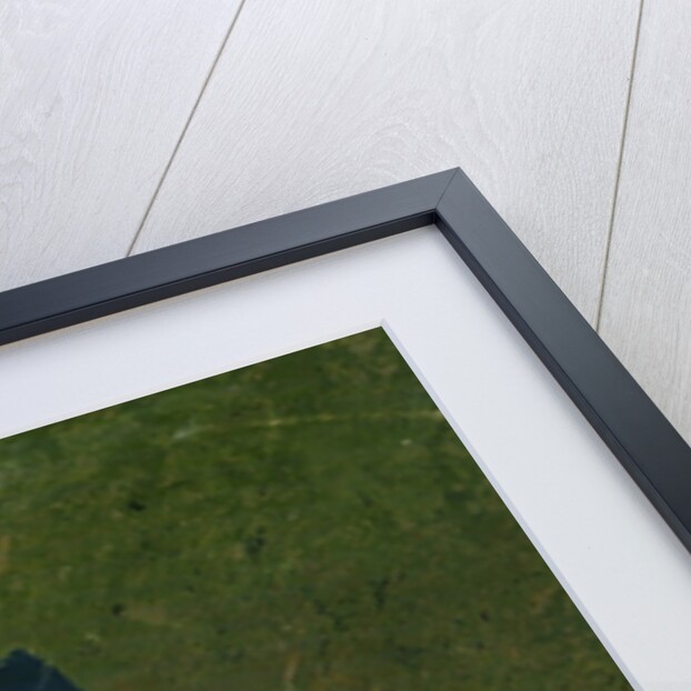 Satellite view of Lake Superior with fall colors by Anonymous