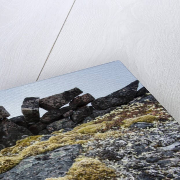 Tent Rings, Nunavut, Canada by Anonymous
