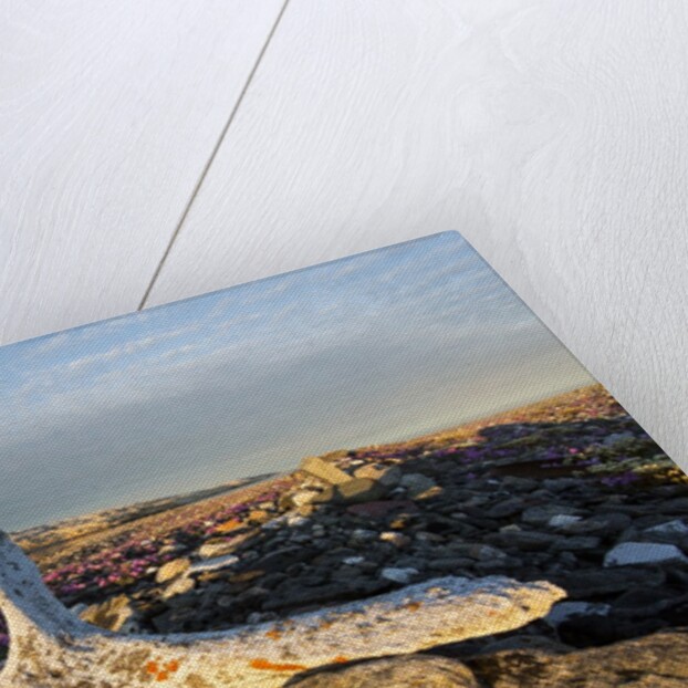 Whalers' Graves, Deadman Island, Nunavut, Canada by Anonymous