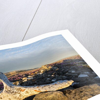 Whalers' Graves, Deadman Island, Nunavut, Canada by Anonymous