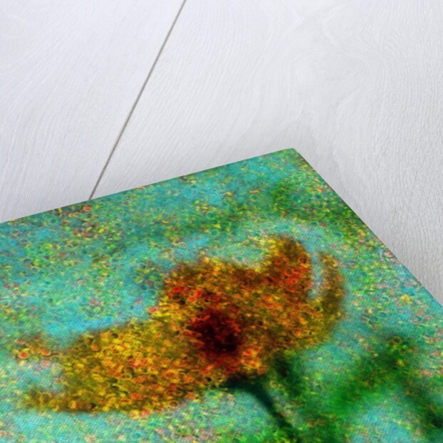 Yellow Flower. by Anonymous