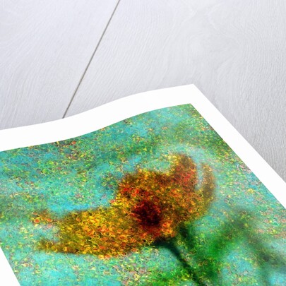 Yellow Flower. by Anonymous