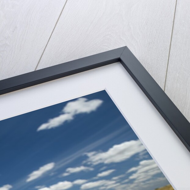 Kalahari Desert Track, Magadikgadi Pans National Park, Botswana by Anonymous