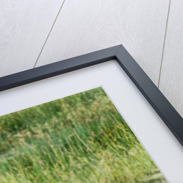 Blurred Plains Zebra, Makgadikgadi Pans National Park, Botswana by Anonymous