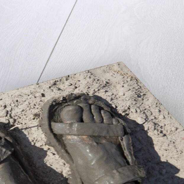 Mud-covered Feet, Chobe National Park, Botswana by Anonymous
