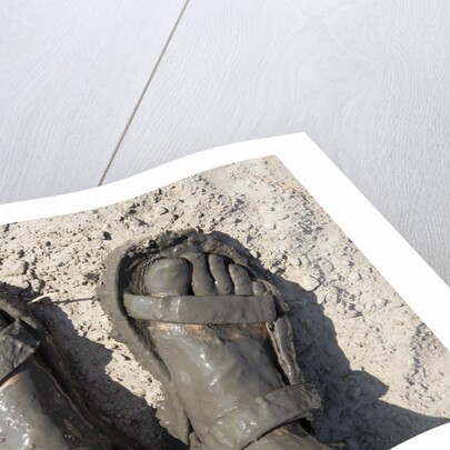 Mud-covered Feet, Chobe National Park, Botswana by Anonymous