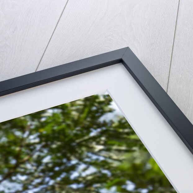 Black and White Ruffed Lemur, Madagascar by Anonymous