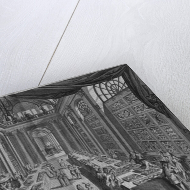 Natural History Collection by Levinus Vincent