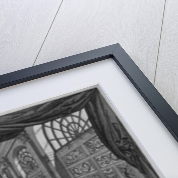 Natural History Collection by Levinus Vincent