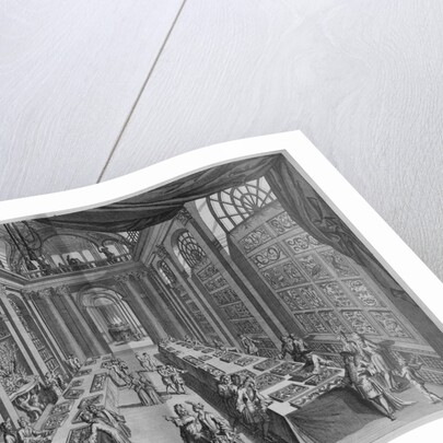 Natural History Collection by Levinus Vincent