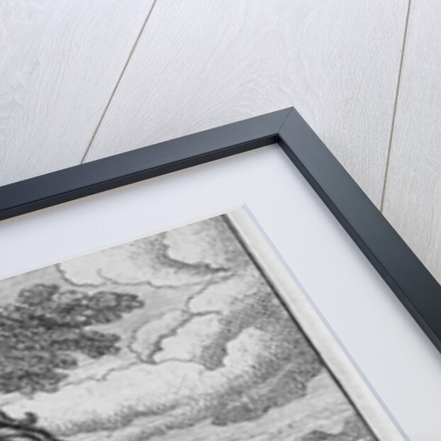 Illustration from The Fables of Aesop by Francis Barlow